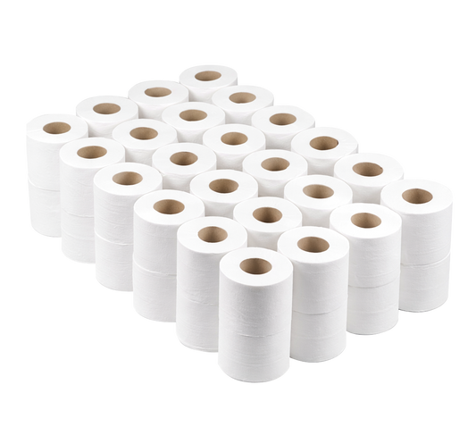 Toilet Paper 2-ply white 30m x 48 rolls